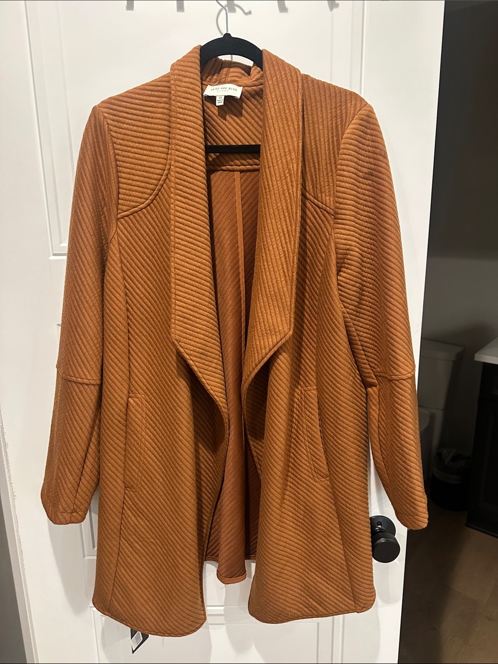 NWT Skirs Ate Blue Coat